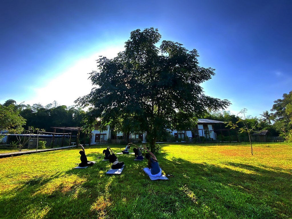 Ground: A Gentle Journey