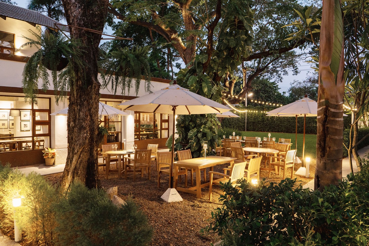 Ground: A Gentle Journey